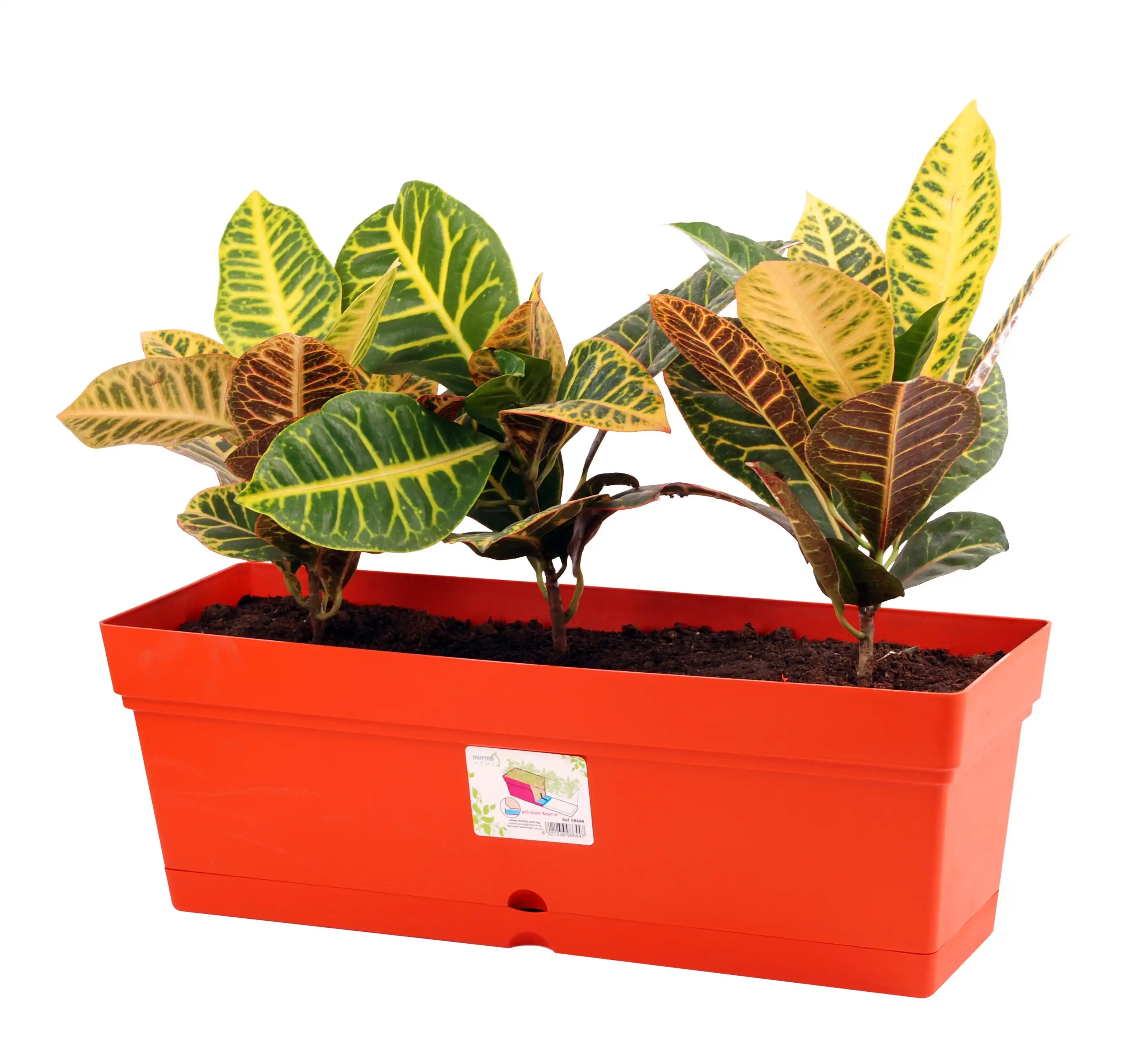 Product image 42